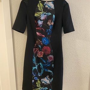 Beautiful Ted Baker dress